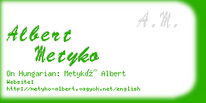 albert metyko business card